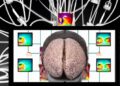 brain machine interface