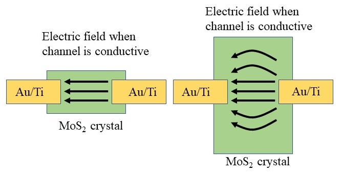 Electric field inside 2D materials